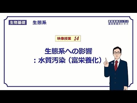 【生物基礎】 生態系14 生態系への影響：水質汚染 富栄養化 （１１分）