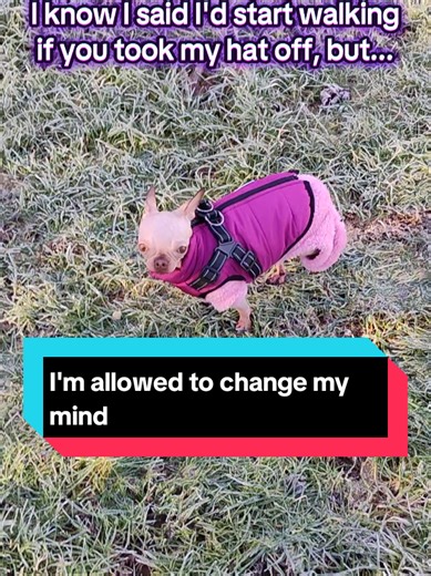 I'm allowed to change my mind, ok! 🥶