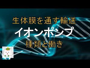 生体膜を通して働くイオンポンプの種類と機能【生物化学】