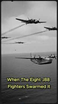 8 German Fighters Attacked This "Slow Boat" in WW2 And They Lost.