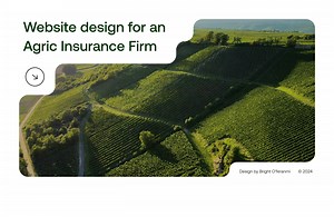 Agriculture Insurance Website | Landing Page - Bright Feranmi Nejo