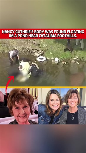 Investigation Into Nancy Guthrie's Tragic Discovery