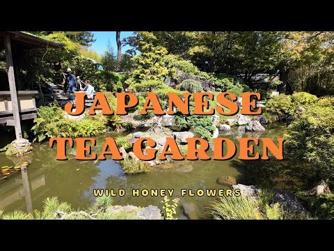 Strolling Through 🌿✨ the Japanese Tea Garden San Francisco | Peaceful Walk Through Golden Gate Park