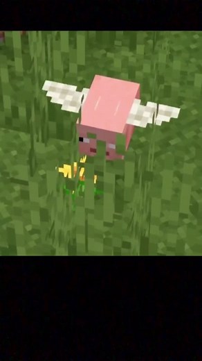 Cool honeybee#майнкрафт #fürdich #mod #fyp #fy #minecrafthacks #minecrafttutorial #viral