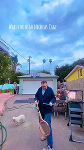 655K views · 26K reactions | Super High Cage, racket and a plane #tricks #skills #juggler #fun #dogs #pets #cage | Michael Rayner | Facebook