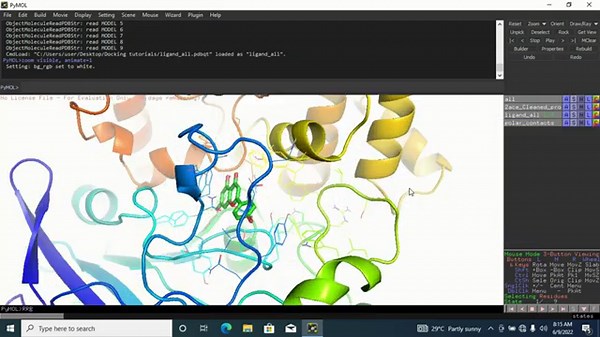 Identifying active site residues of Protein ligand interaction using Pymol