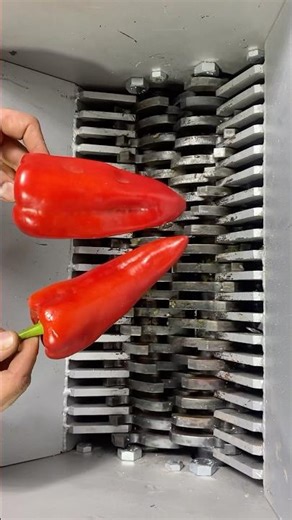 Shredding red Chili Pepper🔥🔥🔥 #crazyexperiments #extremetests #satisfying