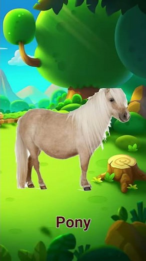 Domestic Animals | Rapid Kids TV Trailer #Short