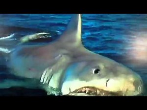 Jaws the revenge:banana boat scene