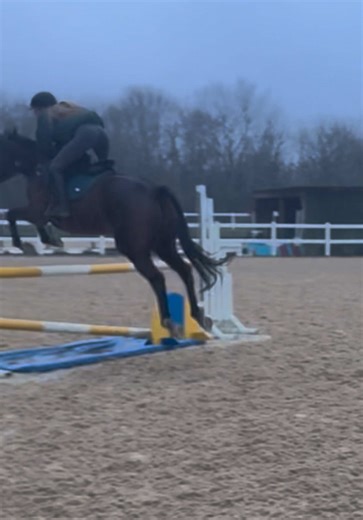 My fav girly also flying today!! She has defo got her spark back she’s jumping 100x better #showjumping #mare #ottb #90cm #fypppppppppppppppppppppppp