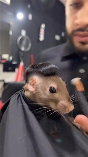 🌏 Real or AI 🤖 (Part 9) #realorai