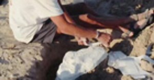 How are dinosaur fossils discovered and collected? | AMNH