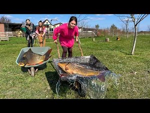 Giant Carp, Royal Pilaf & Beef — A Fairy Tale Feast!