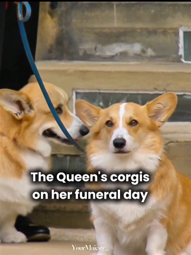 Queen Elizabeth II and Her Beloved Corgis