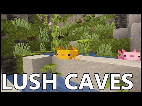 Where To Find LUSH CAVES In MINECRAFT 1.18
