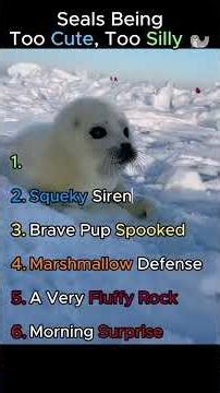 Too Cute, Too Silly: Seals Living Their Best Blubbery Life 🦭😂 #CuteAnimals #Seals