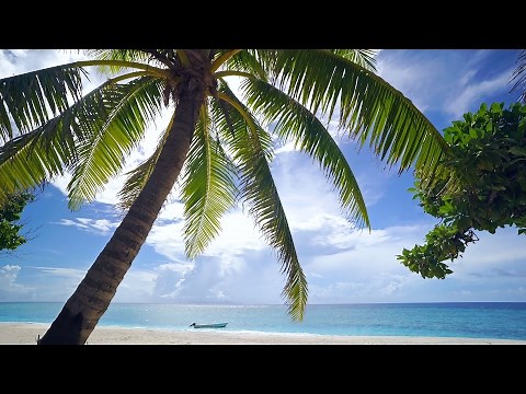 The Perfect 4K Beach Scene: Fiji 1 Hour Glistening Island Beach plus Nature Sounds UHD