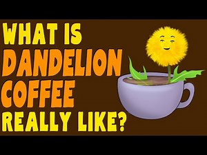 Dandelion Coffee: Does It Taste Bitter?