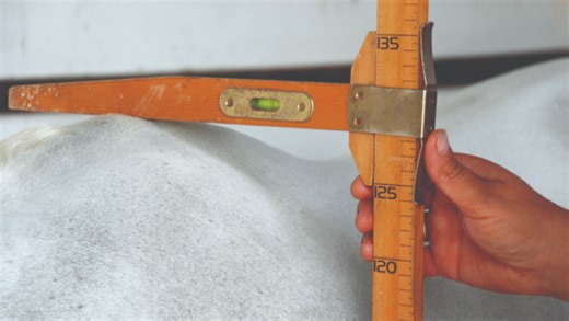 How to accurately measure a horse, and lifetime height explained
