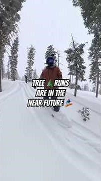 Tree 🌲 runs are in the near future! 🏂 #snowboarding #snow #tahoe #powder #winter