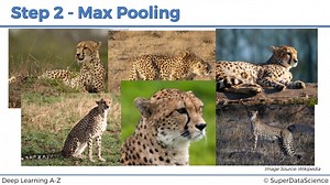 3-6. Step 2 - Pooling