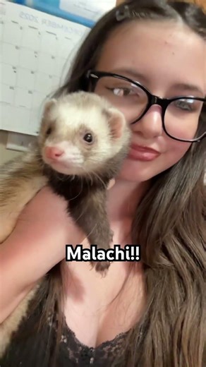 READ PINNED COMMENT!! #wlw #animals #ferrets #animaltour #fypシ゚viral #tour