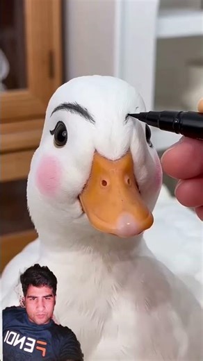Amazing Cold Duck Farming in USA 🦆