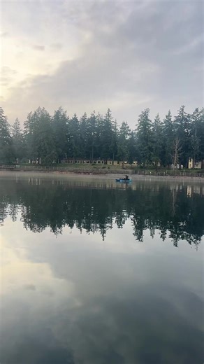 FancyNancy (@fancynancyvlp)’s videos with original sound - FancyNancy