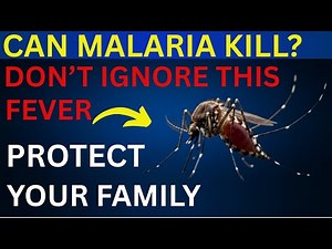 What Is Malaria? Symptoms, Causes, Diagnosis, Treatment & Prevention Explained