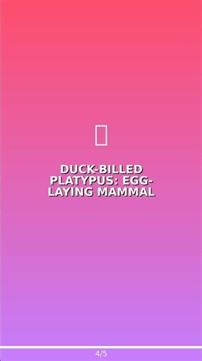 WEIRD STUFF EXISTS?!