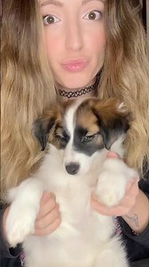 Did we win this trend⁉️😜🐶🐾 #dog #cute #trend