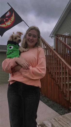 Cheetah Halloween Costume Ideas and Tips