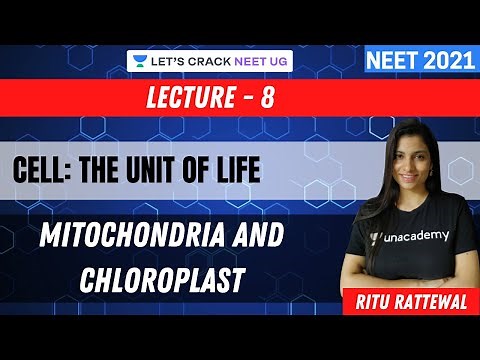 Phoenix 2.0: Biology Most Important Video for NEET 2025 | Udaan