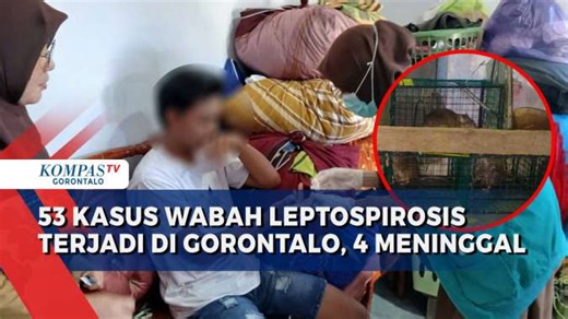 53 Kasus Wabah Leptospirosis Terjadi di Gorontalo, 4 Orang Meninggal Dunia