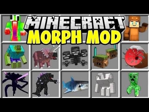Morph mod minecraft pe 1.21.101 । Addon morph mcpe 1.21