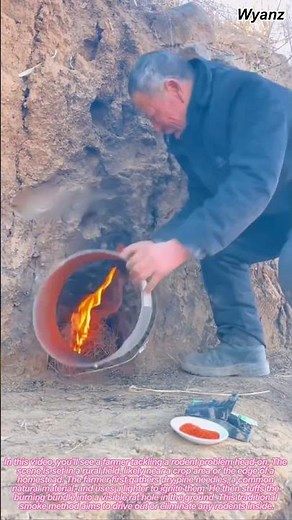 How to Seal a Rat Hole with Fire and Cement - Effective Farm Pest Control