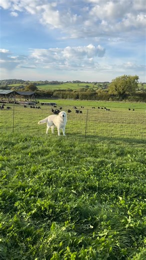 28 reactions · 3 comments | Do you care about how your Christmas...