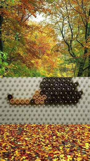 I made a Hedgehog in Hama beads !