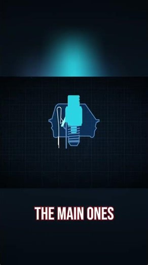 Keyboard ASMR: The Secret Joy of Tactile Switches Revealed! #shorts