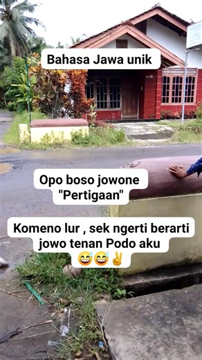 Daryati on Instagram: "Opo boso jowone pertigaan bolo 😅😅✌️ #reels #vidioviral #hiburan #fyp"