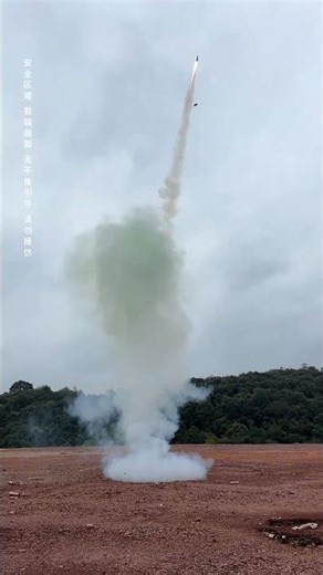 Village sky-jumping monkey admires fireworks explosion