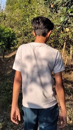 peacock flying out #vlog #viral #shorts #garden #funnyshorts #trending #shortvideo #minivlog