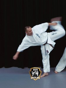 Effective Fight Combo Techniques in Martial Arts