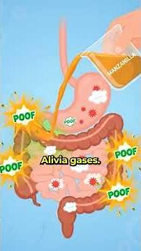 Manzanilla: 3 Beneficios Impresionantes que Explotarán tu Cabeza (Calma, Digestión y Sueño)
