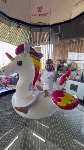 Flying Unicorn - Mesmerizing Flight with Unicorns