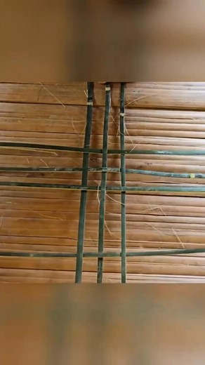 0228 (2).mp4 part 12 | Cải Tạo Nhà Cửa