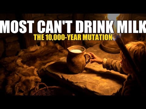 Why Some Humans Can Drink Milk And Others CAN'T: The 10,000-Year Mutation | HISTORY FOR SLEEP