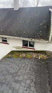 2.2K views · 12 reactions | A nice roof wash and gutter clean from the other day 﫧✅ | Soft Wash Solutions LLC | Facebook