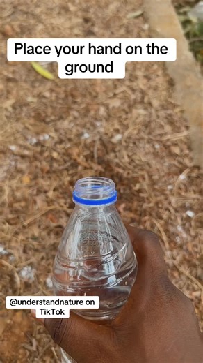 Embrace Abundance Through Nature's Blessing