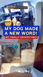 1.6M views · 66K reactions | He knows what he wants! 勞 *Use code LETSGORIP for 12% off buttons ($50+)* #talkingdog #letsgoripley #ripleytalks #fluentpet #australianshepherd | Lets Go Rip | Facebook